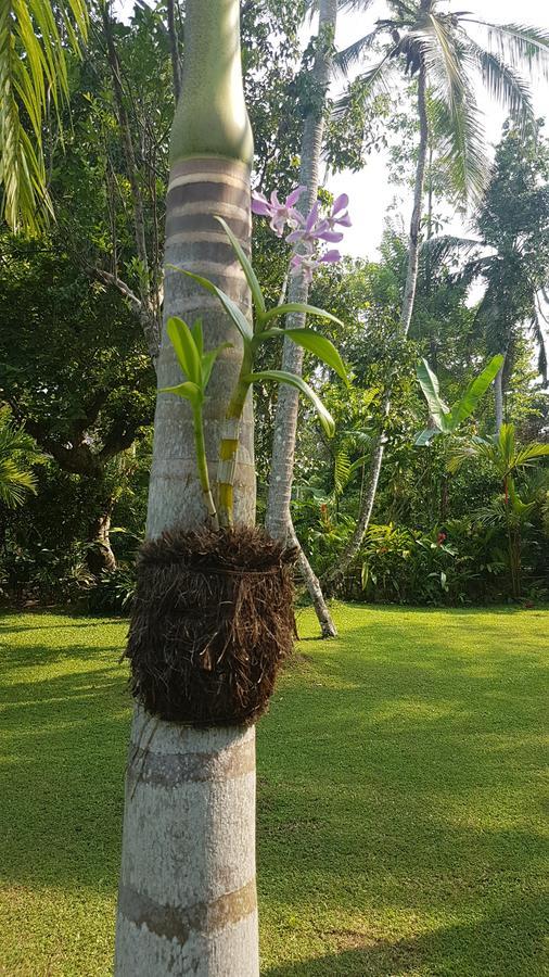 Good Karma Villa Bentota Exterior photo